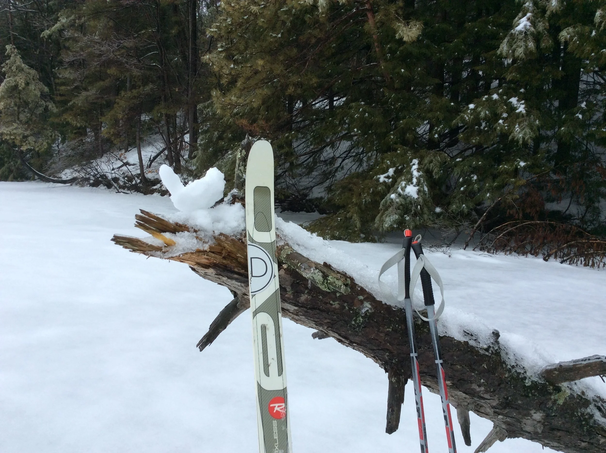CATAMOUNT TRAIL - SECTION 7