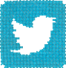 Twitter (bird) (web).png