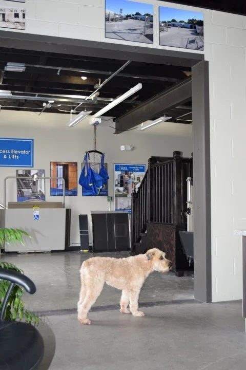 DSC_0059 (Small).JPG