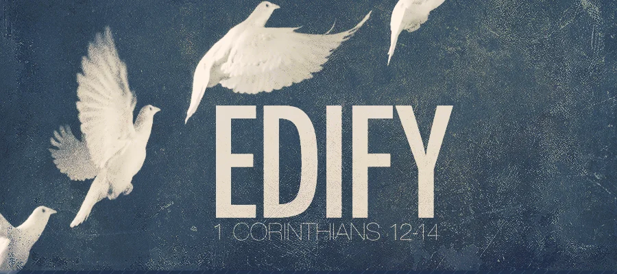 EDIFY - PART 1 (LAKE COUNTRY)