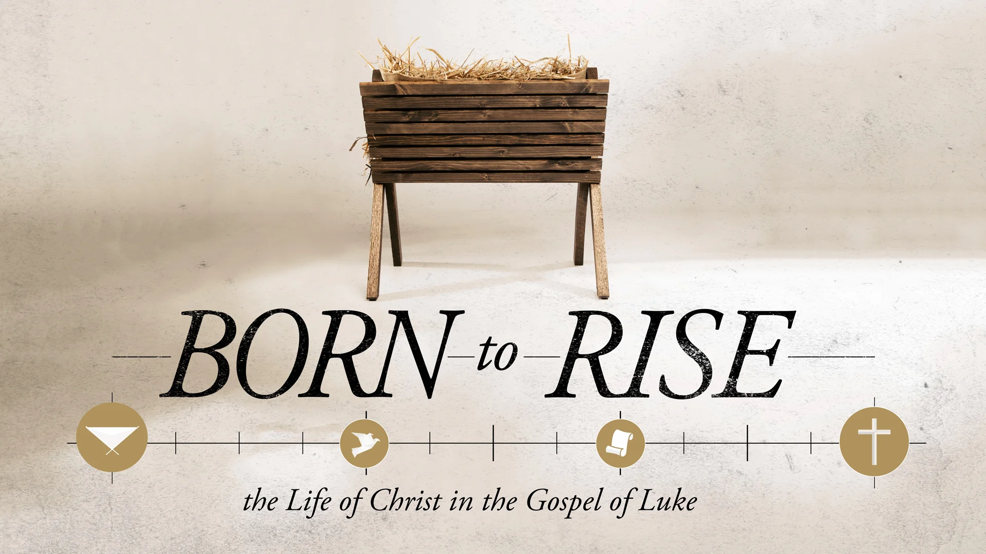 Born to Rise: The Birth