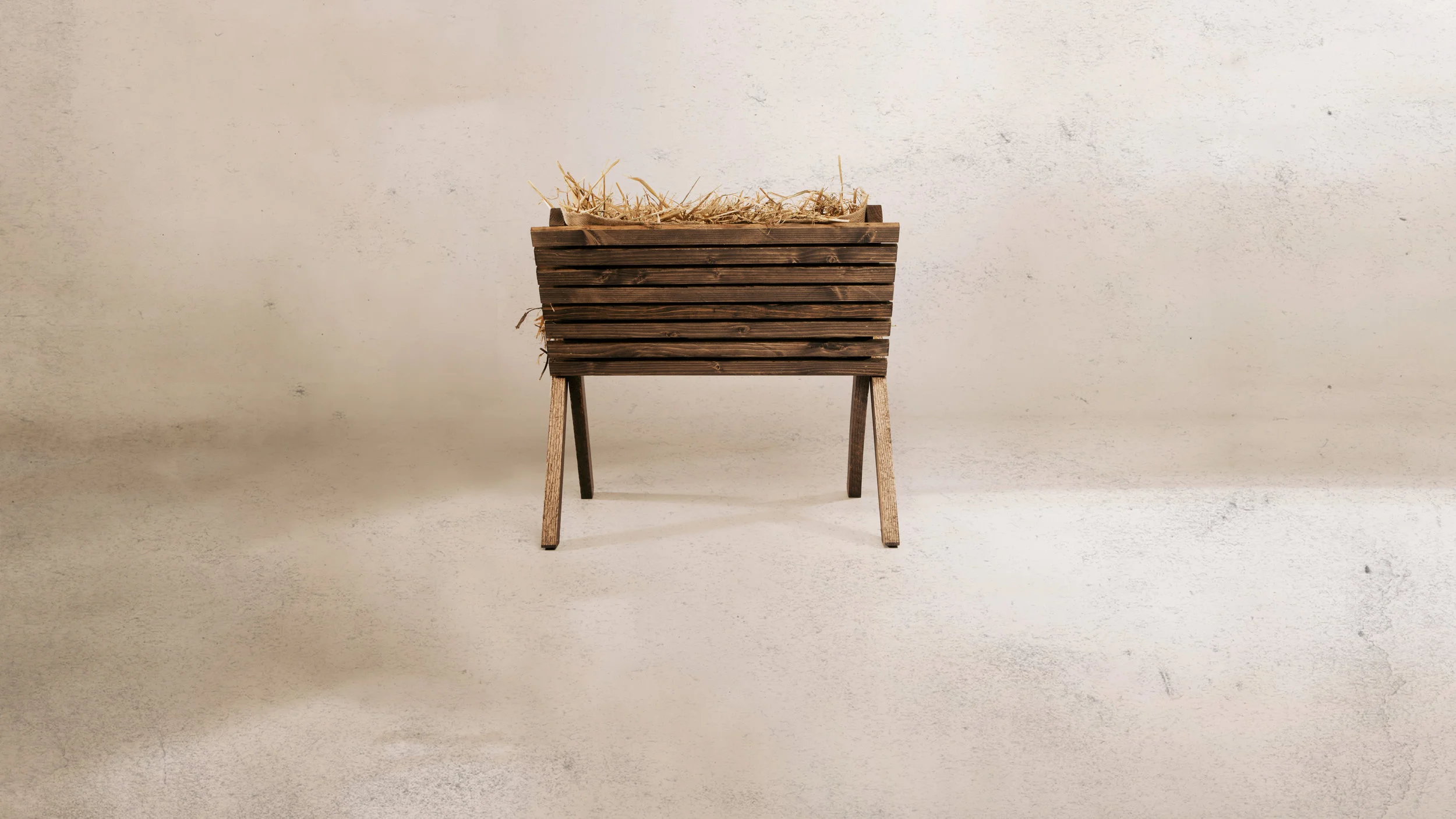 Born to Rise: Christmas Eve