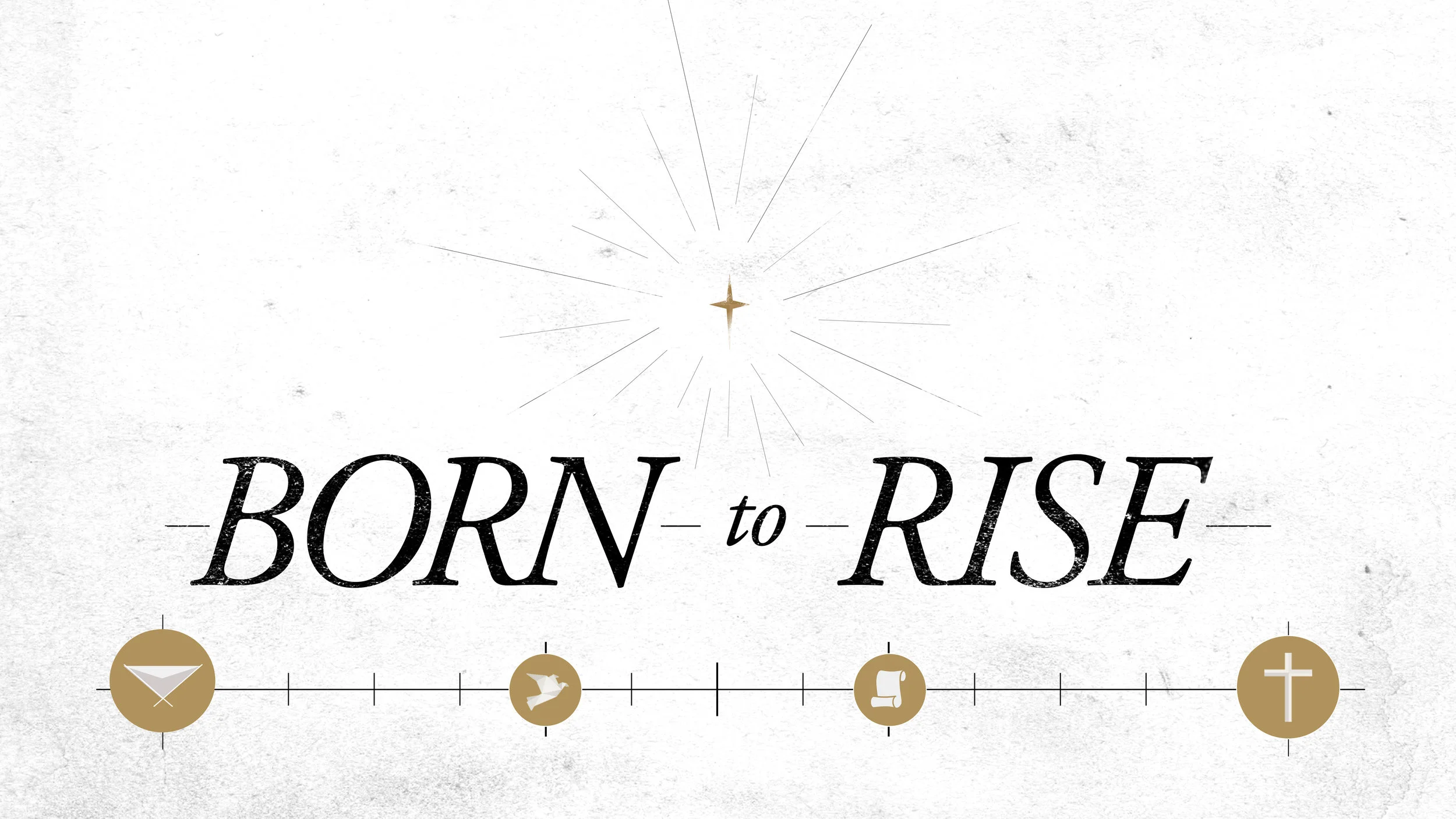 Born to Rise: Pt. 4