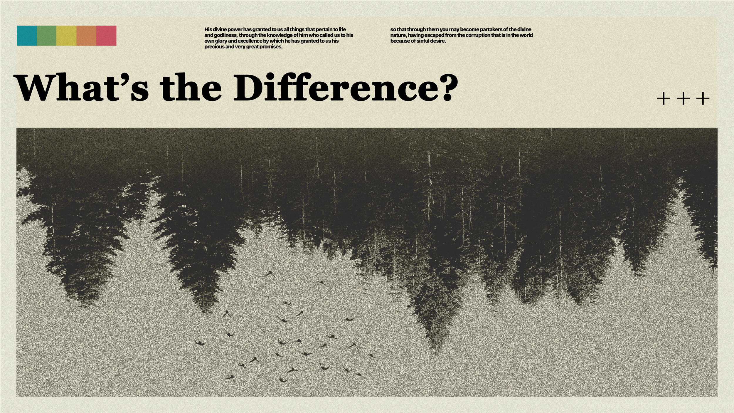 What's the Difference | Pt. 8