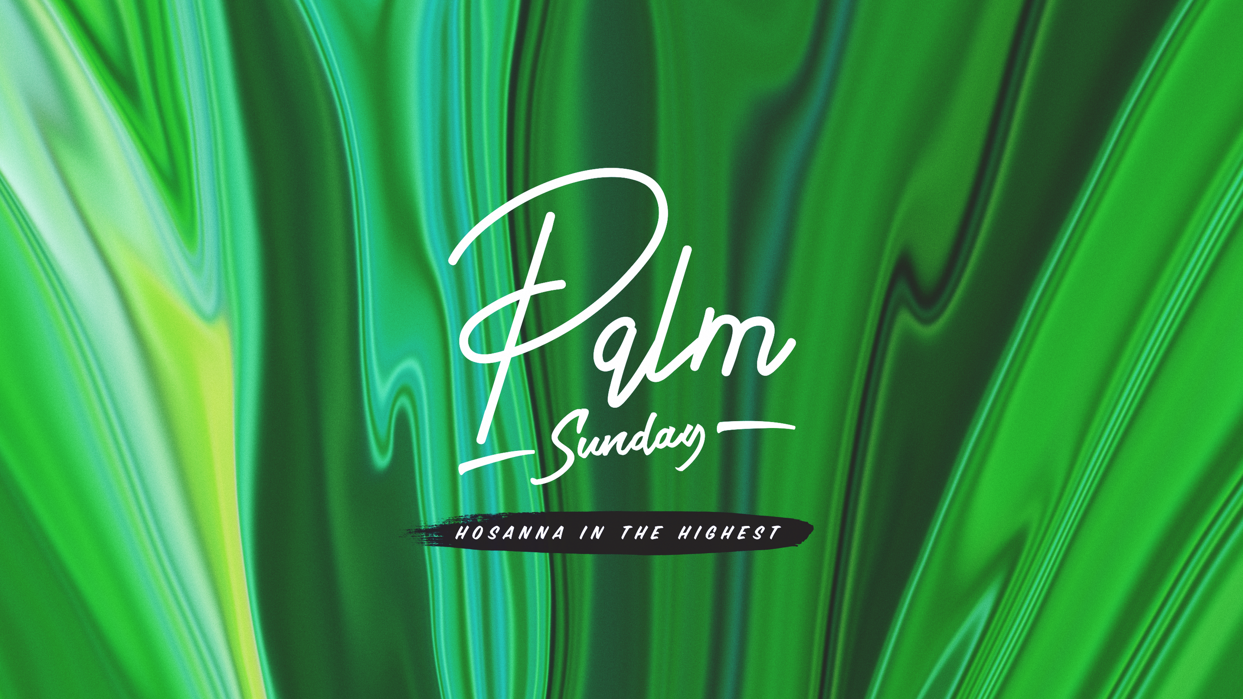 Palm Sunday | Kevin Oelke
