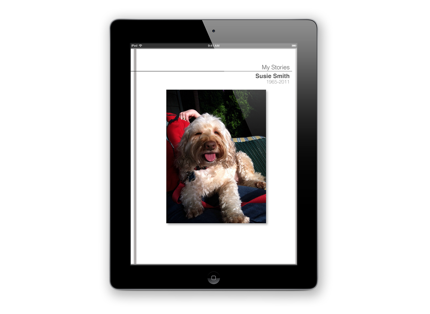 eBook.png