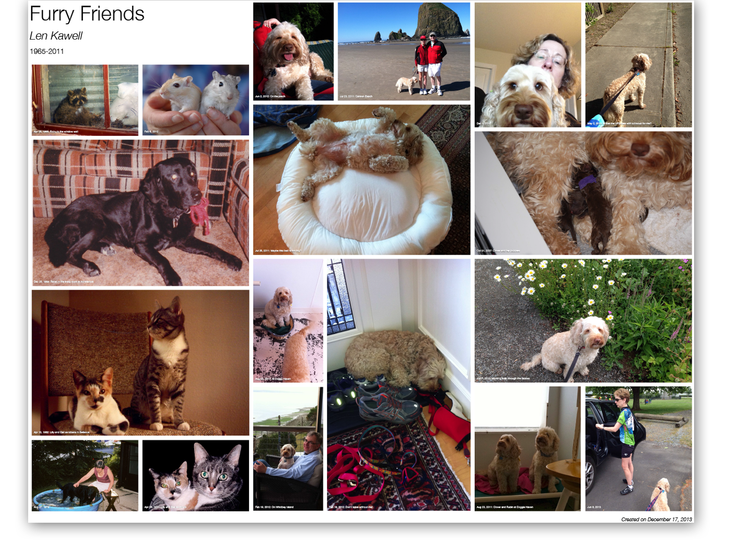 Furry-Friends.png