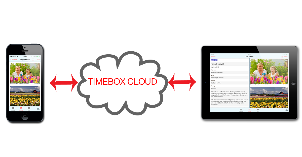 TimeboxCloudGraphic.png