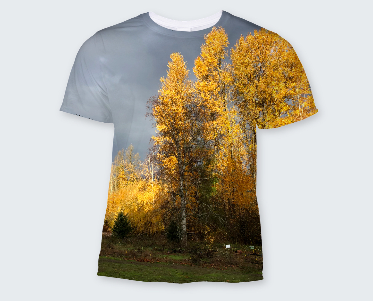 How about a t-shirt, sweat shirt of tote bag with your favorite photo?