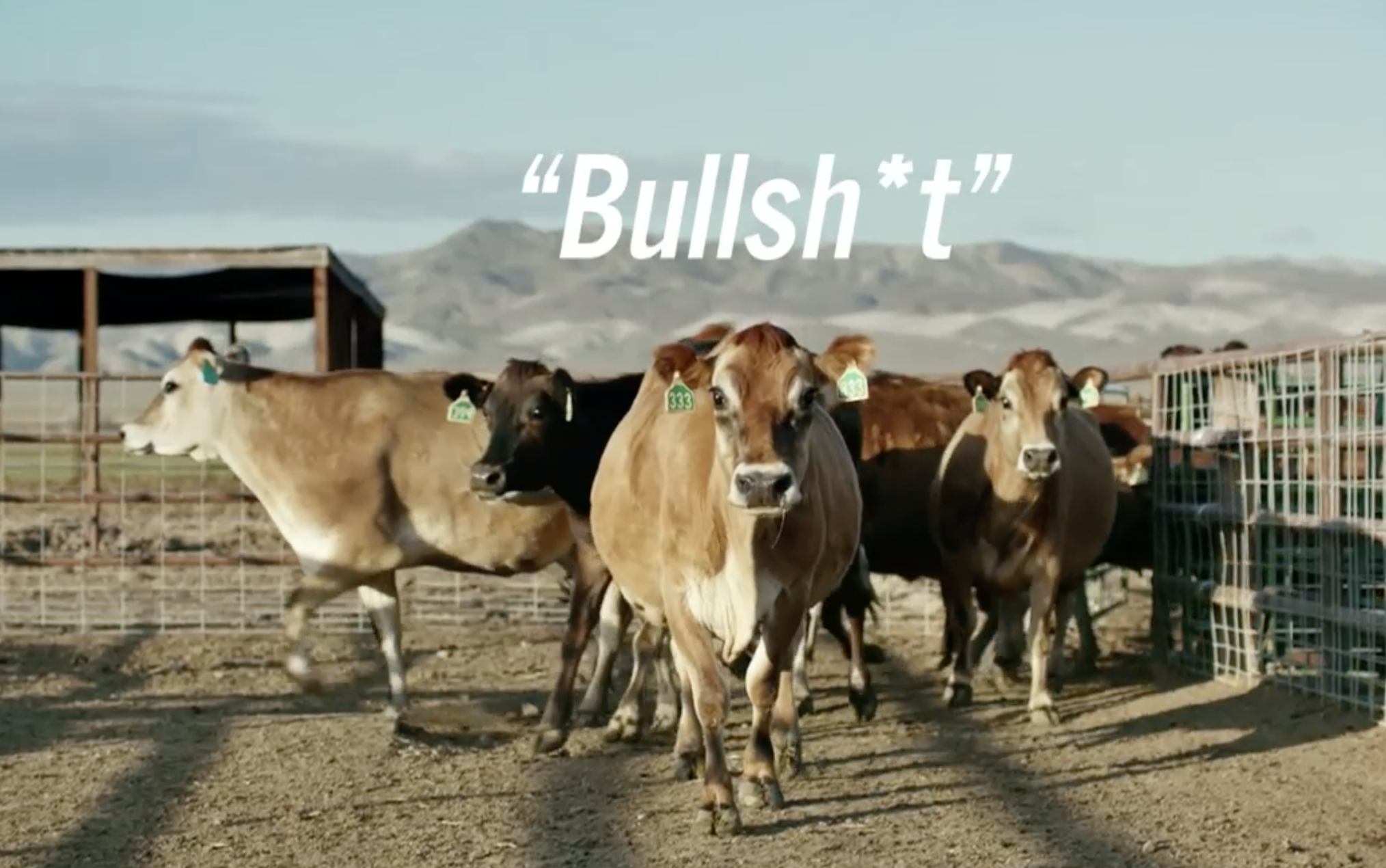 Screen Shot 2022-07-12 at 10.00.28 PM.png