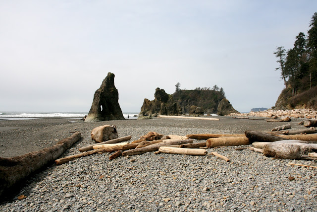 IMG_6613.JPG