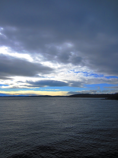 IMG_8020.JPG