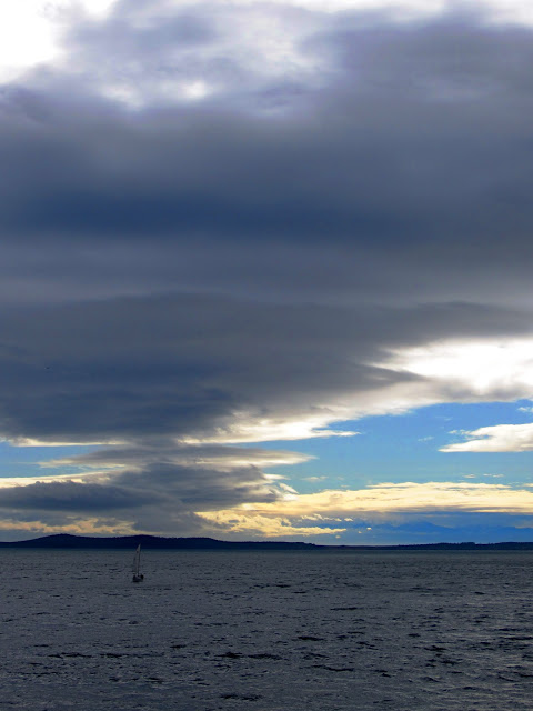 IMG_8025.JPG