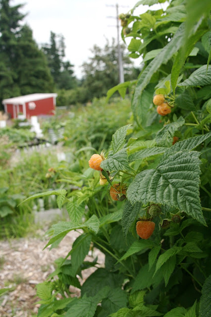 IMG_2860.JPG