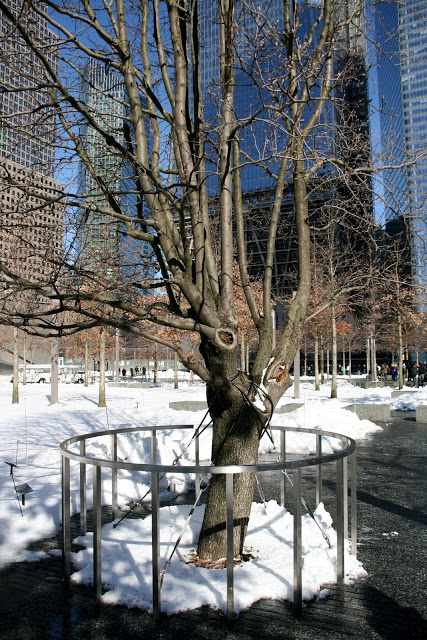 IMG_4600.JPG