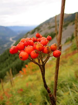 IMG_1997.JPG