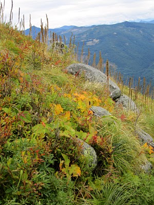 IMG_1993.JPG
