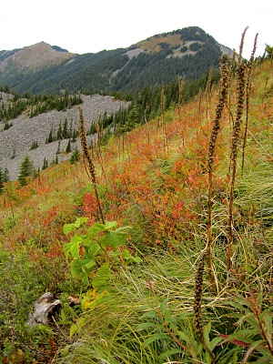 IMG_1994.JPG