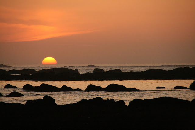 IMG_9817.JPG