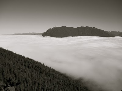 IMG_2104.JPG