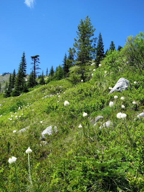 IMG_9216.JPG