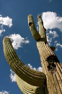 IMG_8450.JPG