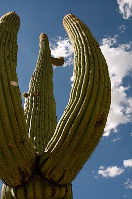 IMG_8427.JPG