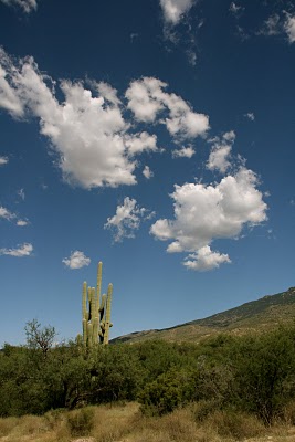 IMG_8456.JPG