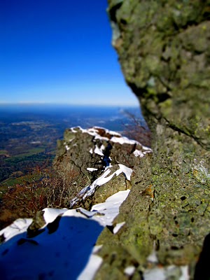 IMG_5436.JPG