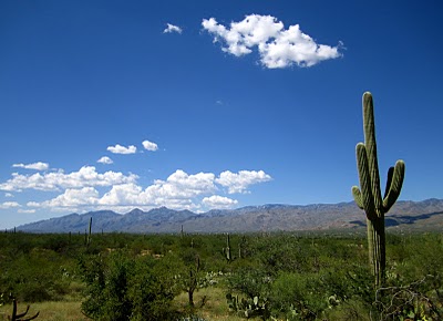 IMG_1847.JPG
