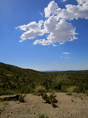 IMG_1856.JPG