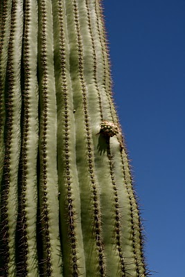 IMG_8357.JPG