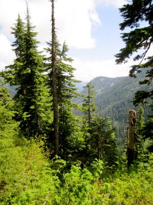 IMG_0720.JPG