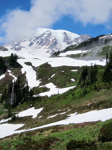 IMG_1905.JPG