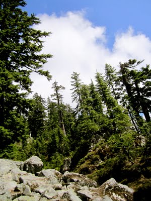 IMG_0718.JPG