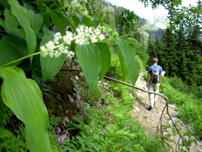 IMG_0734.JPG