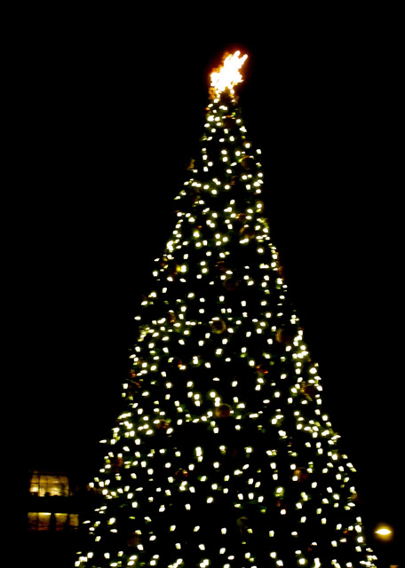 IMG_4682.JPG