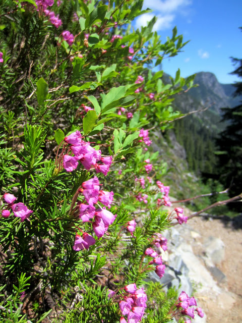 IMG_9373.JPG