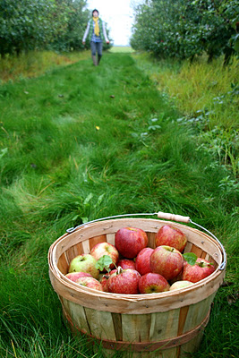 IMG_6987_2.JPG