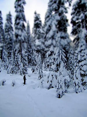 IMG_4285.JPG