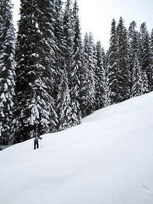 IMG_4293.JPG