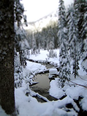 IMG_4282.JPG