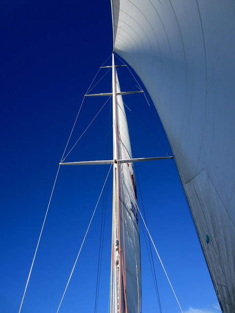 IMG_2486.JPG
