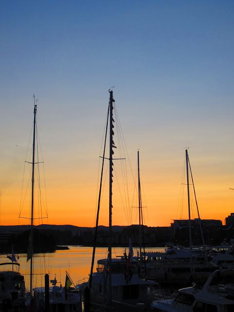 IMG_1426.JPG