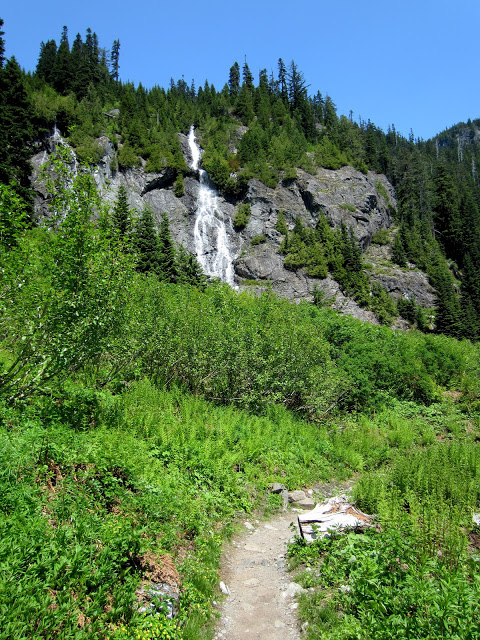IMG_1462.JPG