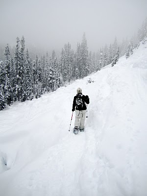 IMG_4417.JPG
