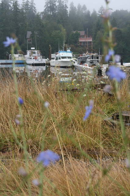 IMG_3846.JPG