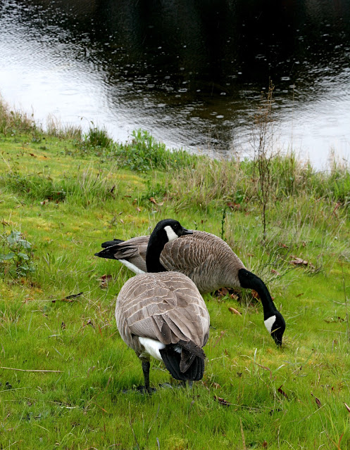 IMG_7693.JPG