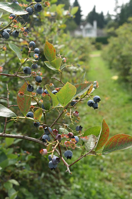 IMG_4122.JPG
