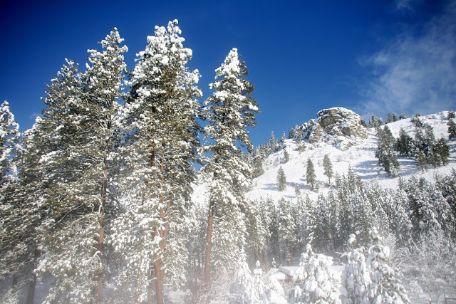 IMG_4265.JPG